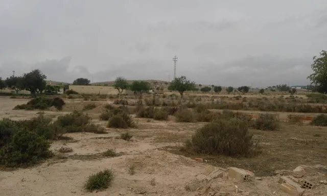 SE VENDE O ALQUILA TERRENO CON CASA PARA REFORMAR , 25.000 M - foto 2