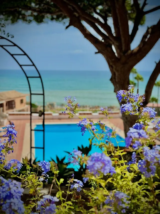 Apartamento 2 habitaciones 80m² en venta - Riviera del sol — 3