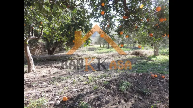 SE VENDE TERRERENO RURAL EN BERJA CON CORTIJO — 13