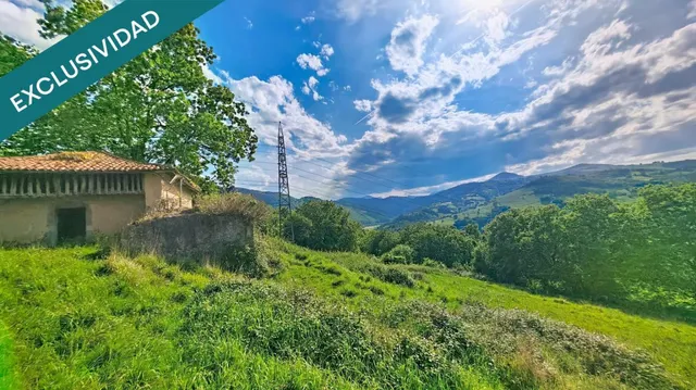 Más de una hectárea de Asturias, una cabaña de piedra y todo el valle por delante. — 17