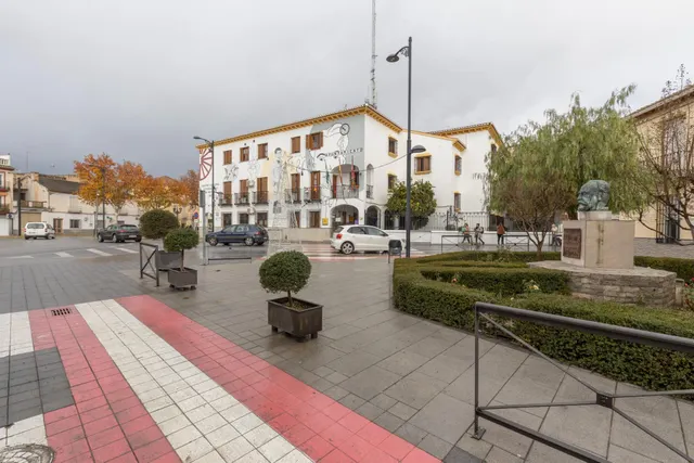 Piso en el corazón de Fuente Vaqueros — 26