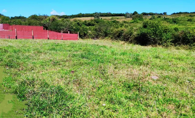 Construye tu hogar en el corazón de la naturaleza — 13