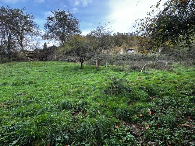 FINCA EDIFICABLE A 3 KM DE CANGAS DE ONIS — 11