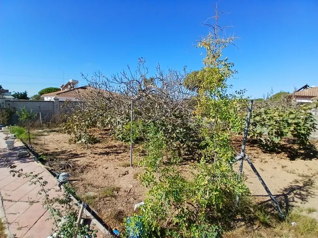 FINCA RÚSTICA EN CAMINIO DE TORREALTA — 40