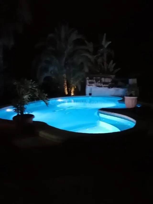 CHALET ALZABARES BAJO ELCHE - foto 4