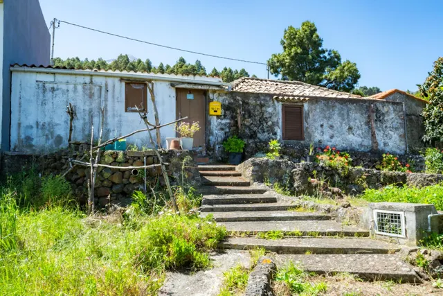 Finca con vivienda y viñedos en Icod de los Vinos — 14