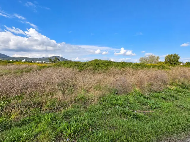 Finca rústica de 6.705 m2 en la zona de els ullals de baltasar, Amposta — 25