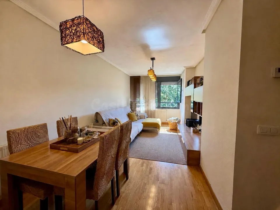 Piso 2 habitaciones 94m² en venta - Corredoria-La Carisa-Prado de La Vega
