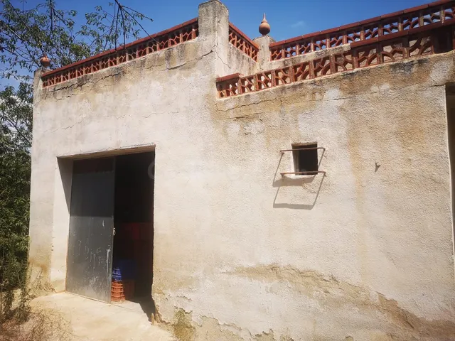 CASA EN FINCA DE NARANJOS CON POZO PROPIO