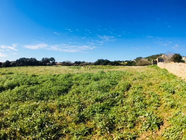 C-7035 - Casa de campo en Son Bou - foto 4