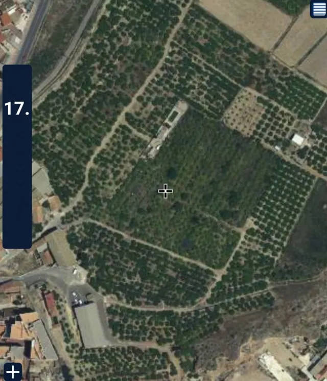 SE VENDE TERRENO PLANTADO DE LIMONEROS — 20