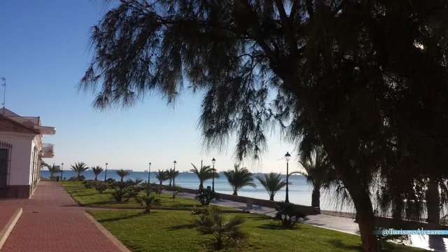 Villas de obra nueva en los alcazares — 36