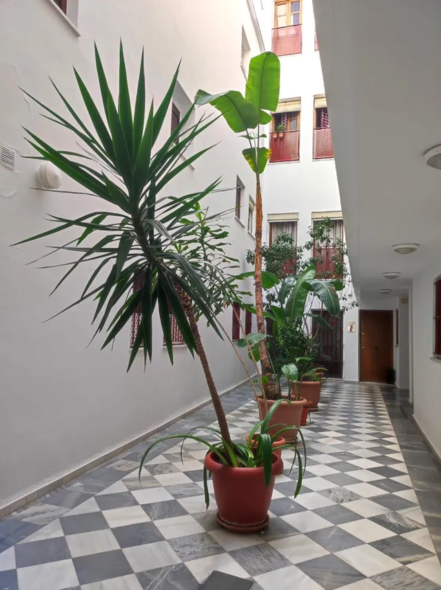 MAGNÍFICA VIVIENDA EN EL CENTRO DE CADIZ — 25