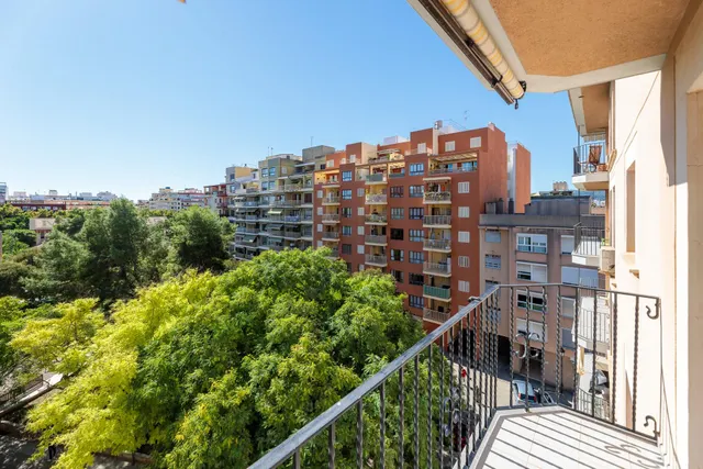 Piso en palma - zona s'escorxador — 21