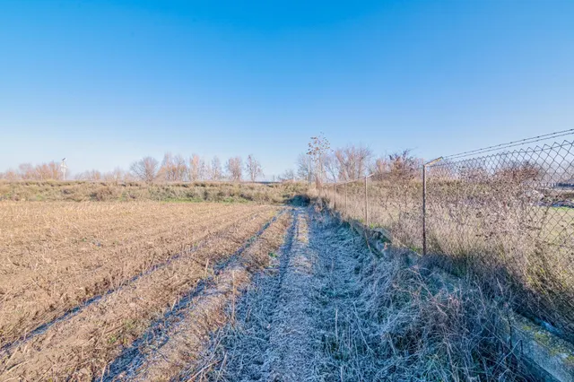 Excelente finca de regadío en la Vega de Granada, con acceso directo — 12