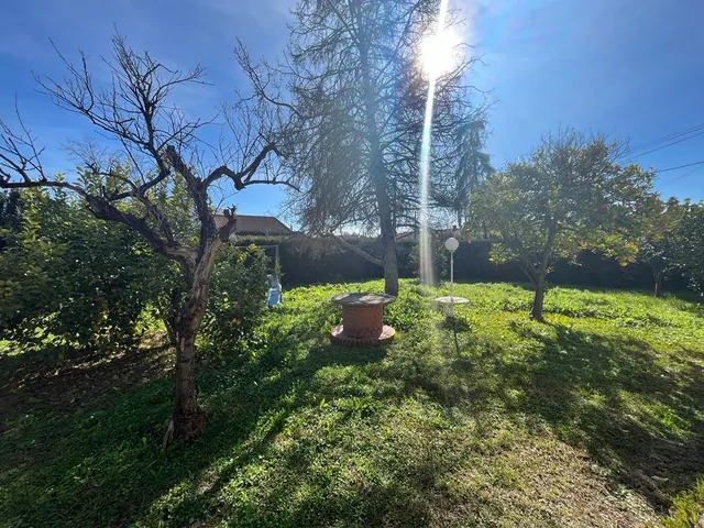 PARCELA DE 3000 M2 SEGREGABLE EN TRES CON DOS CHALETS — 34