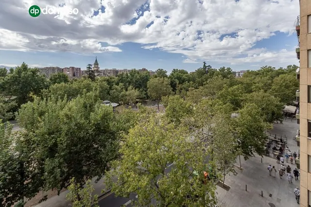 Pisazo en paseo del salón - Granada — 42