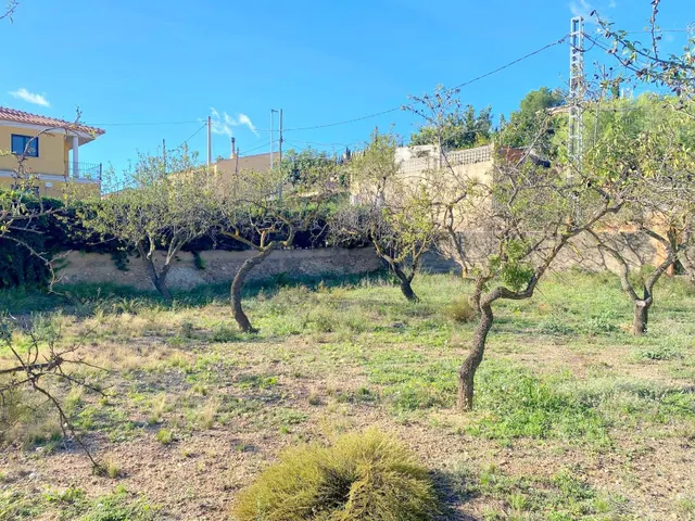 CASA CON TERRENO AMPLIO EN LA FONT DE LA FIGUERA — 25