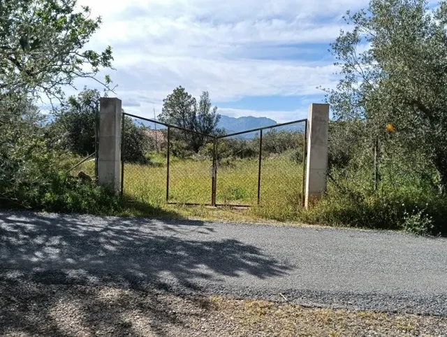finca con casa y balsa — 4