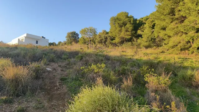 Parcela 890m² en venta - Riviera del sol — 9