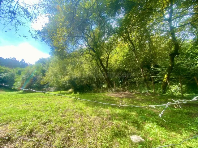 TERRENO RÚSTICO EN UN ENTORNO NATURAL EN NOVALES - foto 5