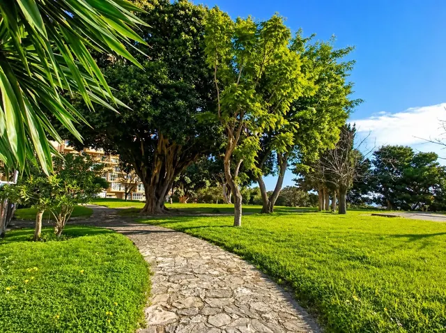 Estudio 33m² en venta - Centro — 25
