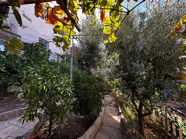 Casa ubicada en el Rincón bajo de Tejeda — 43