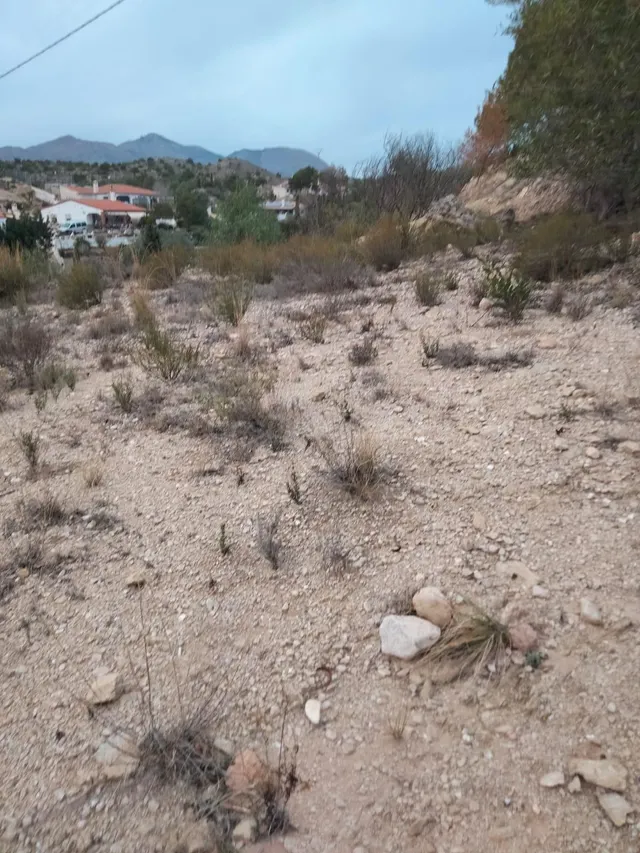 VENTA TERRENO - foto 3