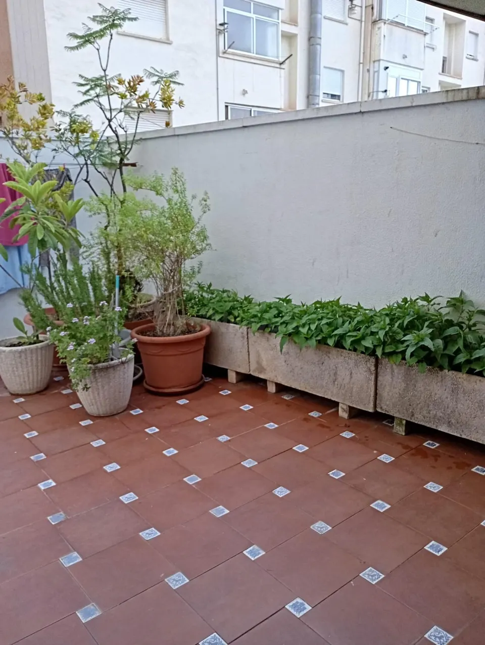 Piso en venta en Calle Santa Rosa--