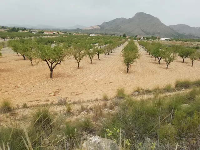 Terreno en Barbarroja - foto 3