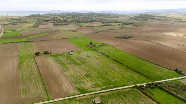 Parcela rústica con proyecto en muro — 4