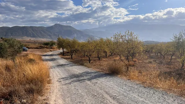 Excelente oportunidad: Finca rústica de 2 hectáreas con 300 olivos Picual — 12