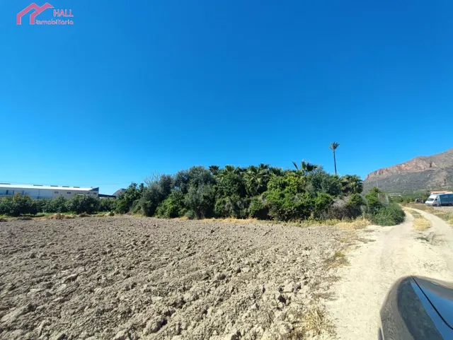 PARCELA RUSTICA EN EL SISCAR — 11