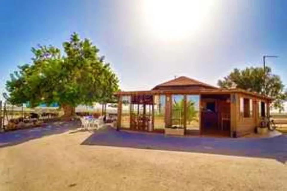 Parcela en venta - Torre-Pacheco - Torre-Pacheco ciudad