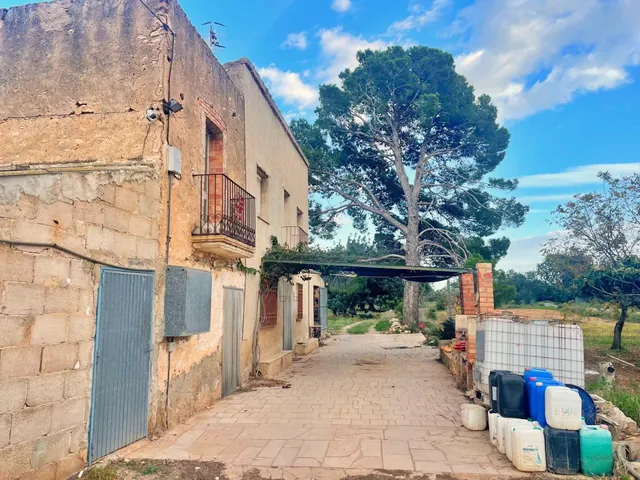 Chalet en Vinallop y plantación de olivos y mandarines en pr - foto 3