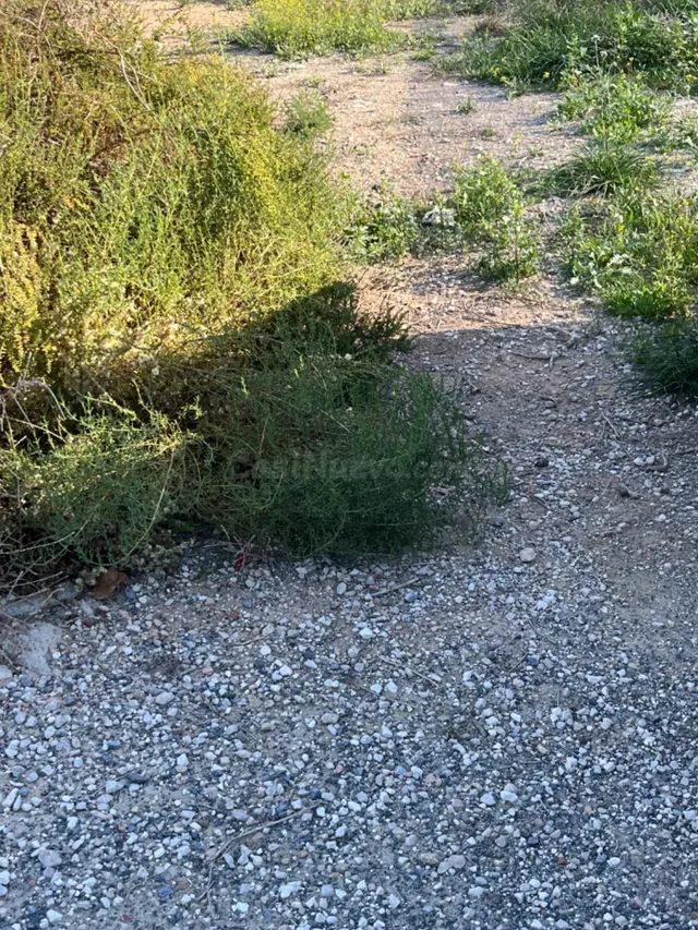 Tu terreno tan cerca de la ciudad... - foto 3