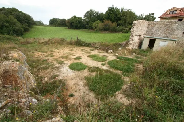 TERRENO URBANO/RUSTICO EN CONCHA - RUILOBA — 7