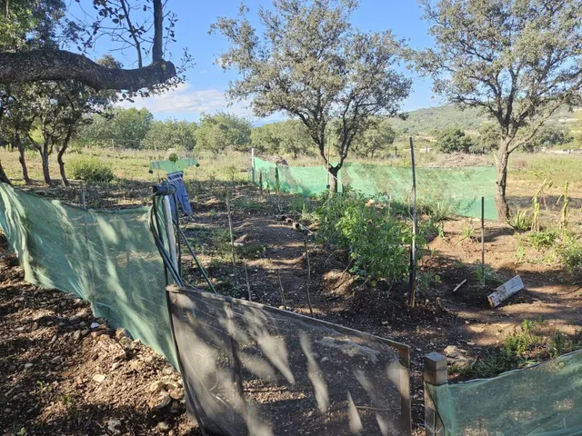 Terreno para recreo vallado y con acceso por camino asfaltado — 7