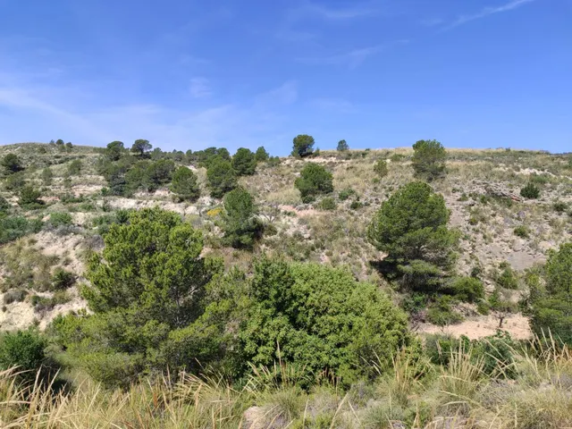 ¡Oportunidad Única! Finca de 55.000 m2 en Yéchar con Vistas 