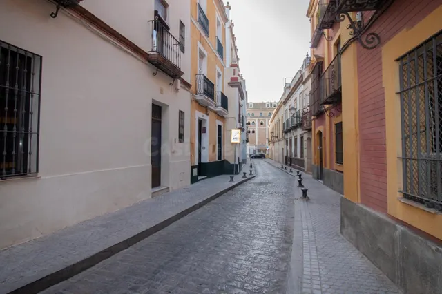 Exclusiva Casa Unifamiliar con Ascensor y Garaje en el Corazón de San Lorenzo, Sevilla — 34