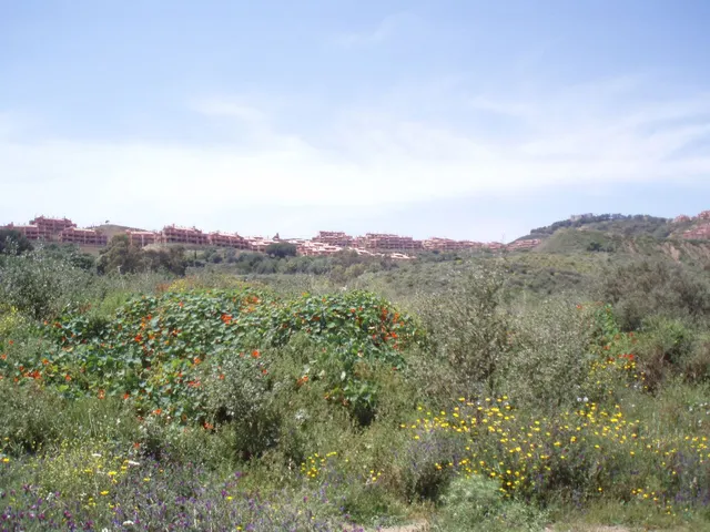Parcela en venta - Riviera del sol - foto 3