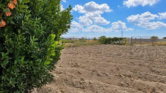 PARCELA SEGREGADA - RÚSTICA CON EDIFICACIÓN PARA REFORMAR EN - foto 4