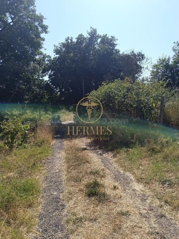 Se vende finca rustica a 1 km de Tui — 6