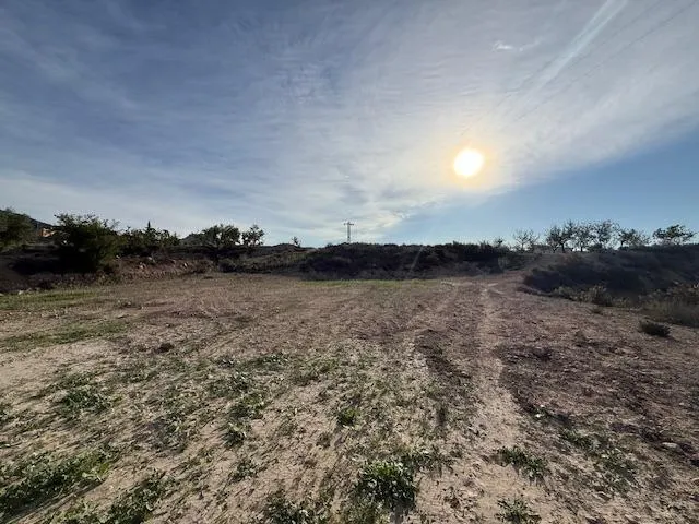 Venta  de terreno en Barinas (Abanilla) — 13