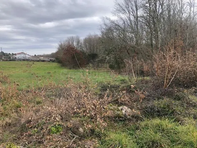 TERRENO URBANO EN AMOEIRO - foto 3