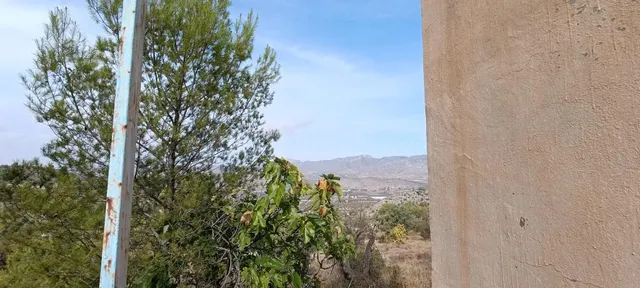 Encantadora Casa de Campo en Hondon de las Nieves - Oportunidad Única — 5