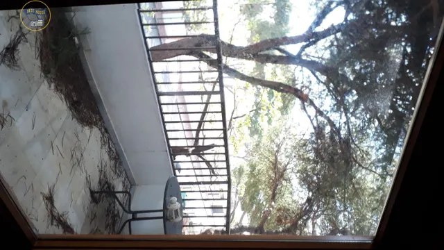 EXCELENTE VILLA PARA REHABILITAR EN CABOPINO — 30