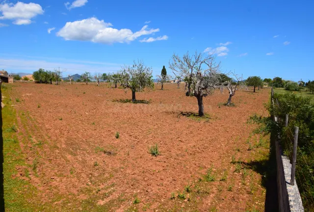 Finca rústica en Santa Margarita