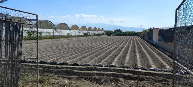 Parcela rústica en venta, llana y vallada, a solo 4,3 km de la playa de Granada — 5