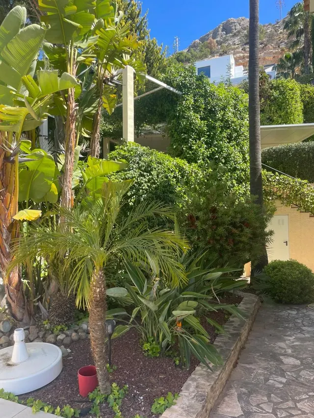Villa 3 habitaciones 235m² en venta - Zona de Mascarat — 30